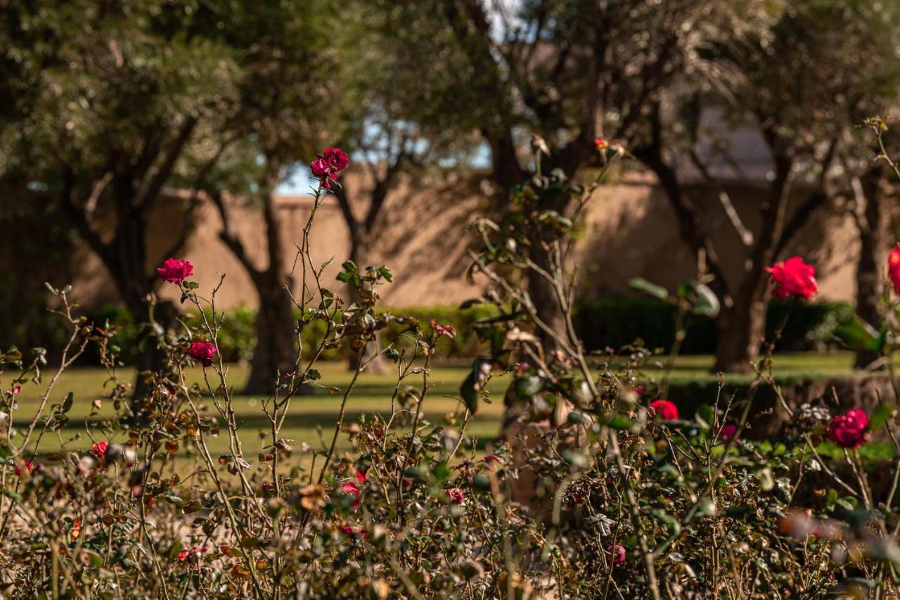 Le Palais Paysan Acomodação com café da manhã Marraquexe Exterior foto
